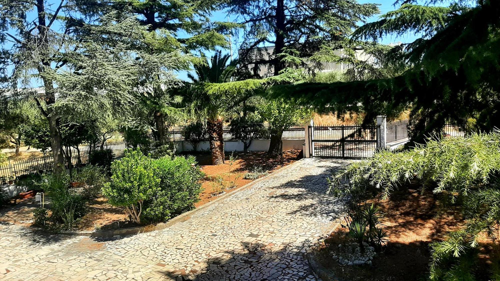 Sunshine'S Casa Vacanze Ortona Exteriér fotografie